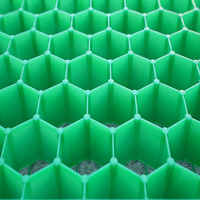 Geomalla de HDPE Plástica Moderna Personalizada, de Alta Resistencia y Tenacidad, para Construcción de Carreteras, Caminos de Entrada y Césped