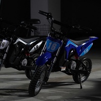 Oem 300W 36V5.2AH Vélo tout-terrain pour enfants 15 Mph High Range Small Ipx4 Road Legal Kids Electric Mini Motorcycle