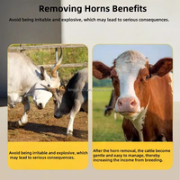 Désorneur Électrique pour Bovins – Machine de Désornage Sans Sang pour Vaches Adultes – Outil d'Équipement d'Élevage