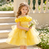 Robe de princesse jaune à épaules dénudées avec appliques florales 3D en tulle pour mariage, anniversaire, concours de beauté, spectacle, costume de fille