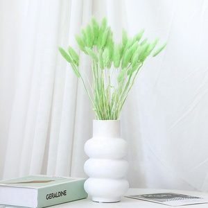 Chaque amour en gros 60 pièces/bouquet de couleur naturelle séchée Lagurus Ovatus lapin queues herbe pour la décoration de la maison - Product Image 4