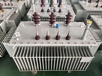 Transformateur toroïdal à trois phases immergé dans l'huile, faible bruit, 315 kVA - 1600 kVA, bobine cuivre/aluminium, équipement d'alimentation électrique, huile ondulée