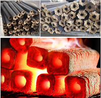 Prix de la briquette de sciure de bois charbon de bois faisant la machine biomasse bois combustible compressé sciure de bois briquettes machine