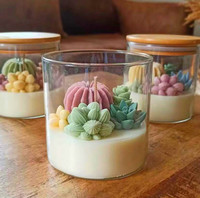 Huming nouvelle plante en pot créative cactus pot en verre bougie parfumée décoration de maison personnalisée cire de soja art bougie parfumée de luxe