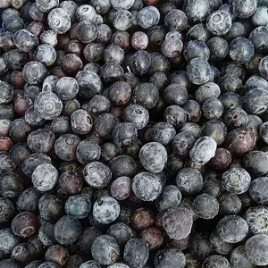 <span class=keywords><strong>Myrtilles</strong></span> <span class=keywords><strong>surgelées</strong></span> IQF en gros, fruits frais surgelés non-OGM pour la transformation alimentaire et les boissons - Product Image 6