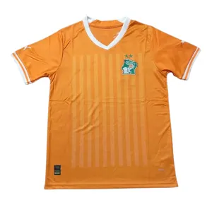 2023 2024 özel kargo futbol giysileri Pro fildişi sahil Jersey T-Shirt orijinal futbol T Shirt fildişi sahili için