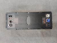 Modul Amplifier DSP Kelas D Skymusic 2x800W - Modul Amplifier Tegangan Lebar dengan Casing Logam, Kipas Pendingin, untuk Line Array