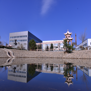 Trung Quốc thảo mộc <span class=keywords><strong>astragaloside</strong></span> Bột chế độ ăn uống bổ sung <span class=keywords><strong>astragalus</strong></span> mucanaceus chiết xuất - Product Image 6