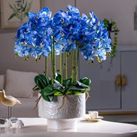 FANHUA Orchidée Artificielle Réaliste et Durable de 18 Pouces, Blanche, en Soie, avec Pot en Céramique – Centre de Table Moderne pour Maison, Bureau ou Table Basse