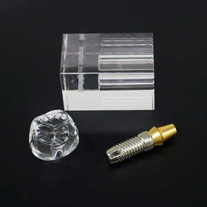 Dental Implant <b>Model</b> 2x Detachable Teaching Anatomical <b>Medical</b> Silicone For Dental Education - Product Image 1