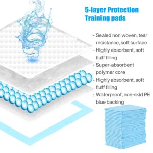 OEM Fabrika Süper Emici Tek Kullanımlık Yetişkin Alt Açma Bezleri 60x90cm Su Geçirmez Çarşaf Havlu Hamuru Hemşirelik Matı İnkontinans Bakımı İçin - Product Image 2