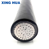 Cable de Alimentación Industrial para Construcción Ferroviaria de Bajo Voltaje 0.6/1KV YJLV con Aislamiento de PVC y Núcleo de Aluminio 1*25.0 mm al por Mayor