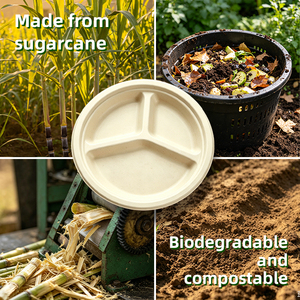 <b>Disposable</b> 9 Inch 3 Compartment Sugarcane Bagasse Round <b>Plate</b> Compostable Biodegradable Dinner <b>Plates</b> for Camping - Product Image 3