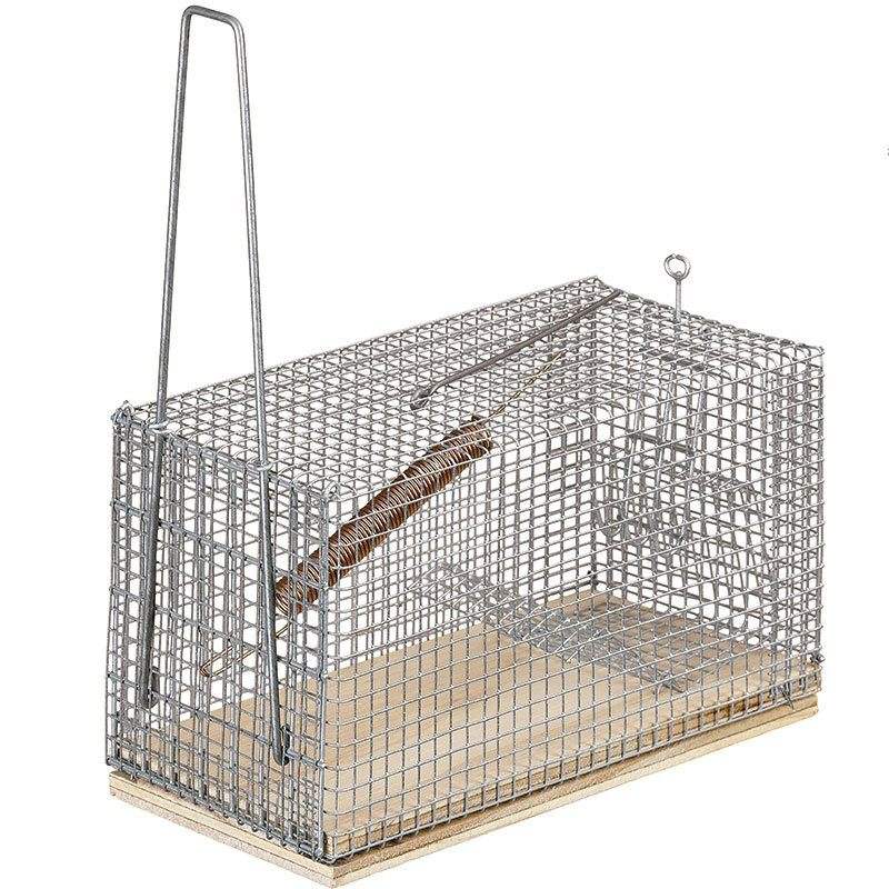 Contacta con nosotros