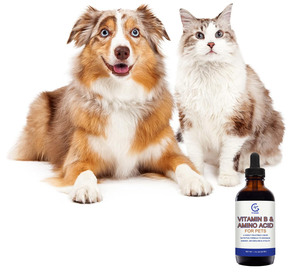 En Stock: Gotas de Aceite de Pescado con Alto Contenido de Proteínas, Complejo de <span class=keywords><strong>Vitamina</strong></span> B y Aminoácidos <span class=keywords><strong>para</strong></span> <span class=keywords><strong>Perros</strong></span> - Apoyo Corporal Total - Product Image 3