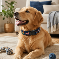 Dackel-Nadelstickerei-Hundehalsband mit Schnellverschluss für Luxuriöse Verstellbare Personalisierte Maßgefertigte Haustierhalsbänder vom Hersteller