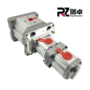 Pompe Mazuchi Originale ALPA2-D-13-AS+I0.5D1.00+P0.5D1.00 Engrenage Hydraulique Double Italien 100% Neuf KL1PD2.5GH KL1PD2.5GH KL1PD2. - Product Image 4