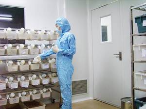 Anticuerpo Monoclonal Promabio para la Actina Alfa de Músculo Liso, Modelo 20033, Origen CN - Product Image 3