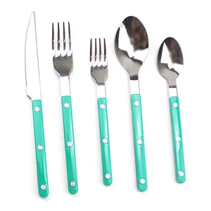 Wholesale Restaurant Flatware 5pcs Set Silver Dinner Spoons Forks And knife Plastic Handle Besteck aus Edelstahl