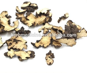 Zhu <span class=keywords><strong>Ling</strong></span> essiccato naturale fungo selvatico Polyporus umbellatus parte intera ombrello Polypore lumpy staffa come cibo - Product Image 2