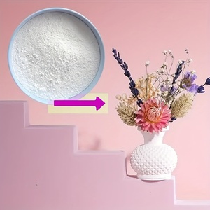 아트 모델 재료용 화이트 석고 주조 분말 고강도 기포없는 실리콘 몰드 주조 키트 - Product Image 3