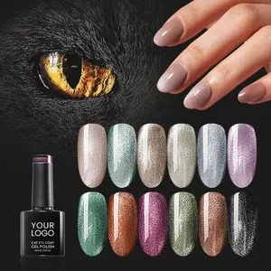 China Fabriek Private Label Nieuwe Stijl 5d Galaxy Uv Nail Art Gel Cat Eye Gel Polish