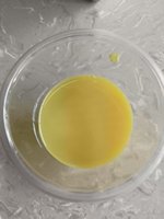 Extrait concentré de gingembre jaune de haute pureté, liquide soluble dans l'eau pour assaisonnement des aliments en conserve, matière première certifiée Halal