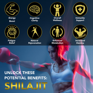 Prix usine <span class=keywords><strong>Shilajit</strong></span> Gummies 60 Count <span class=keywords><strong>Shilajit</strong></span> Fudge Himalayan Pure <span class=keywords><strong>Shilajit</strong></span> Gummies pour hommes et femmes - Product Image 3