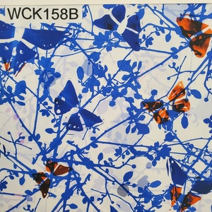 2021 nuovo Schermo di stampa <span class=keywords><strong>poliammide</strong></span> spandex di stirata delle donne ha stampato tessuto per Bikini Sexy - Product Image 5