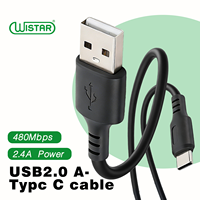 Kabel USB-A 2.0 ke Type-C WISTAR Berkualitas Tinggi, Kabel Charger Pengisian Cepat PVC 2.4A, Kabel Pengisian Cepat & Sinkronisasi Data