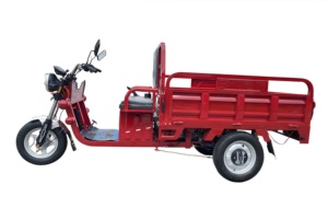 Triciclo Eléctrico de <span class=keywords><strong>3</strong></span> <span class=keywords><strong>Ruedas</strong></span> con Carrocería Abierta 2026, Motocicleta de Carga de 60V para Entrega de Alimentos, Triciclo Agrícola Volquete, Triciclo de 1 Tonelada y <span class=keywords><strong>3</strong></span> <span class=keywords><strong>Ruedas</strong></span> - Product Image 5