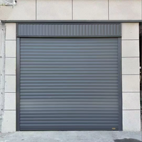 Portes à enroulement anti-effraction en alliage d'aluminium modernes aux couleurs personnalisées pour l'entrée des garages et entrepôts