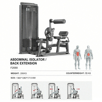 WENDY Appareil de musculation multifonctionnel pour abdominaux et dorsaux, idéal pour l'entraînement à domicile