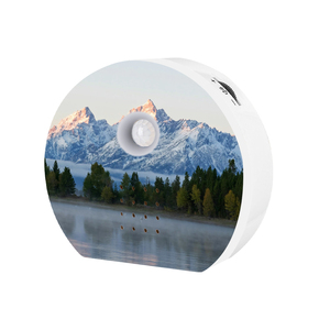 Lecteur de chants d'oiseaux portable avec capteur de mouvement PIR, boîte à sons naturels, jouet apaisant pour bébé en plastique durable - Product Image 3