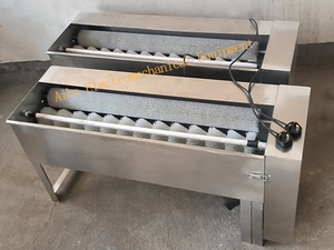 Máquina comercial de acero inoxidable para lavar huevos para panadería, de doble o una sola hilera, con motor para línea de montaje, máquina de limpieza de huevos. - Product Image 2