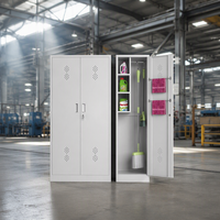 Armoire de rangement en acier à 2 portes pour outils d'hygiène, avec serrure à clé, usage commercial, pour extérieur