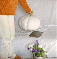 Coussin décoratif en polaire Teddy en forme de citrouille, garnissage en coton PP, style pastoral, créatif, pour canapé de salon, bureau et maison