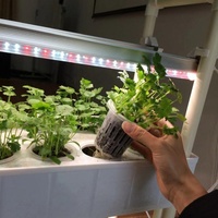 Système hydroponique vertical automatique, écologique, durable, pour la maison et le jardin, en plastique ABS blanc, auto-arrosant, pour la culture des légumes