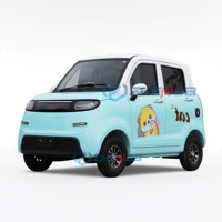 Nouvelle voiture utilitaire électrique miniature 4 places Coco Vehicle avec homologation CEE, conduite à droite, volant à gauche, caméra arrière, prix pour adultes