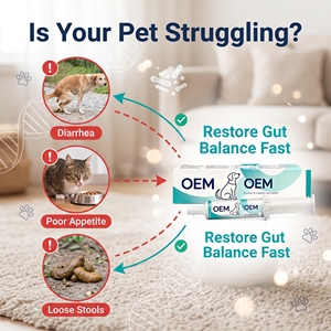 Suplemento de Gel Probiótico <span class=keywords><strong>para</strong></span> <span class=keywords><strong>Perros</strong></span> y Gatos Formulado con Materias Primas Probióticas OEM - Product Image 4