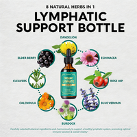 Rosebest Vente en gros OEM Marque privée Gouttes liquides de soutien pour le drainage lymphatique et la détoxification, Complément à base de plantes végétalien