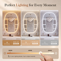 Miroir de salle de bain LED ovale irrégulier avec éclairage rétroéclairé, anti-buée, commande tactile, miroir de vanité intelligent pour la rénovation d'hôtels