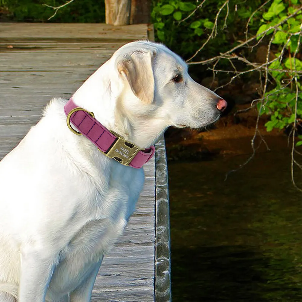 Collare identificativo per cani personalizzato collari per cani personalizzati con fibbia in metallo imbottito in pelle per cani di piccola taglia media Pitbull Buldog