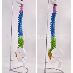 80CM1:1 - Product Image 2