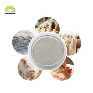 동물 사료 5000 U/g 10000 U/g 가금류 사료 고순도 Phytase 효소 가격 구매 - Product Image 4