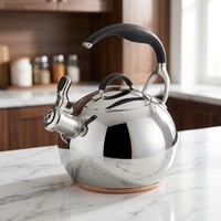 Bouilloire sifflante moderne en acier inoxydable poli miroir, compatible induction, écologique, sans revêtement