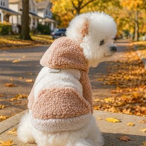 Felpe con Cappuccio <span class=keywords><strong>per</strong></span> Cani Autunno Inverno, Cappotto in Pile <span class=keywords><strong>per</strong></span> Animali Domestici, Giacca Calda <span class=keywords><strong>per</strong></span> <span class=keywords><strong>Cuccioli</strong></span>, <span class=keywords><strong>Abbigliamento</strong></span> <span class=keywords><strong>per</strong></span> Cani e Gatti di Piccola Taglia - Product Image 5