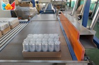 Machine de remplissage automatique complète pour canettes 12000CPH, ligne de mise en conserve en aluminium 330ml avec moteur pour équipement de boissons gazeuses