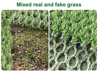 Césped Artificial Híbrido con Rejilla Tejida, Césped Mixto Real y Artificial para Jardín, Alta Drenación, Red de Cultivo de Semillas de Césped para Perros