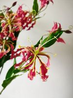 M898 Hochzeitsvase Hotel Blumenarrangement Lebensechte Hochwertige Luxuriöse Realistische Seiden-Kunstblumen Gloriosa Flaming Lily